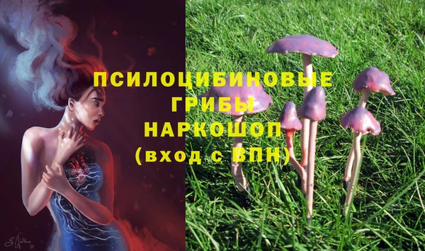 мяу мяу кристалл Баксан