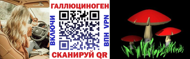 Галлюциногенные грибы MAGIC MUSHROOMS  Староминская 